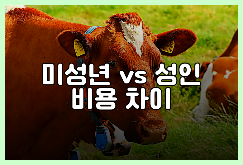 미성년 vs 성인 비용 차이