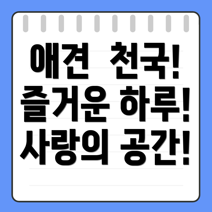 애견유치원