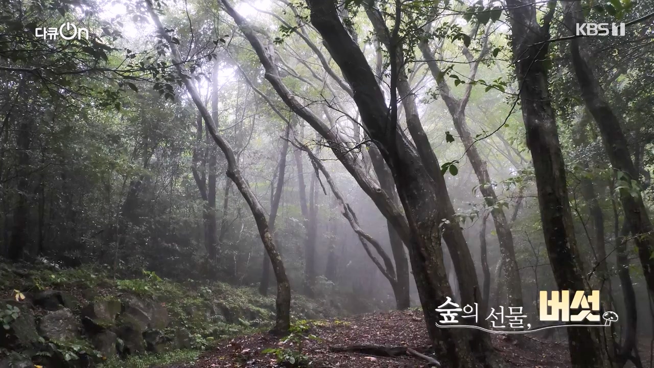 다큐 온.E227.231120p-NEXT.mp4_20231121_202117.065.jpg