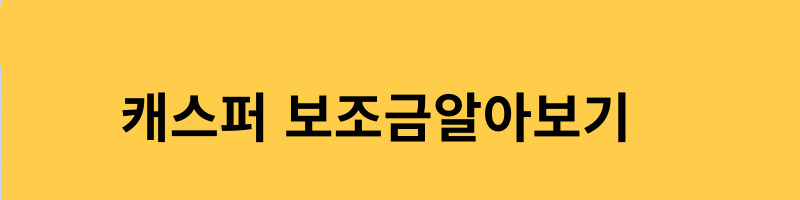 캐스퍼전기