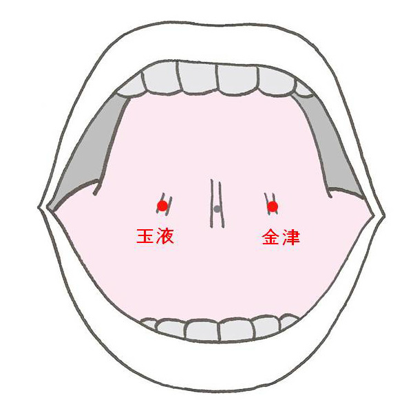 경외기혈(EX) > EX-HN12 금진 (金津) 1