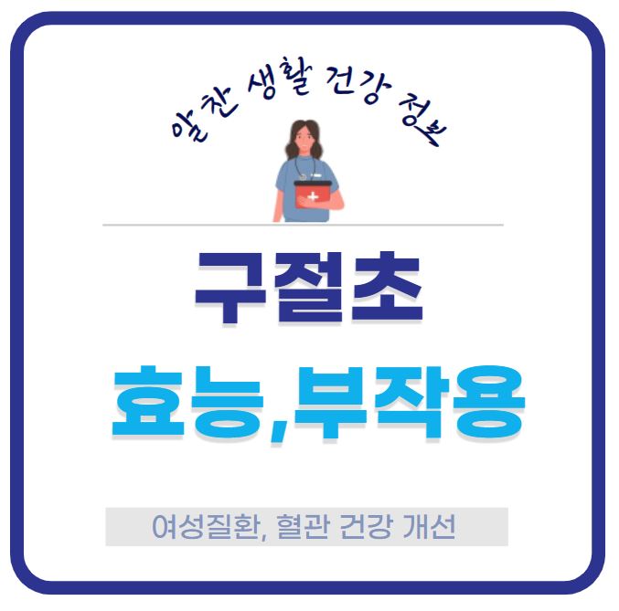 구절초 효능 부작용