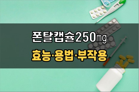  폰탈캡슐250mg 복용 전 확인해야 할 3가지! 효능·효과, 복용법, 주의사항(부작용)