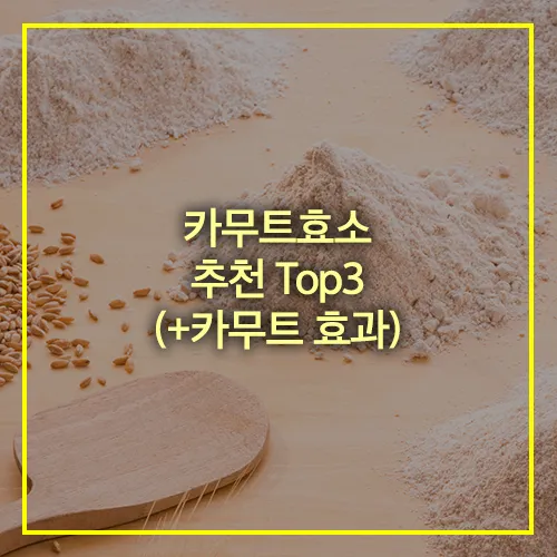 카무트효소 추천 Top3