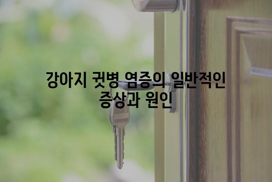 강아지 귓병 염증의 일반적인 증상과 원인