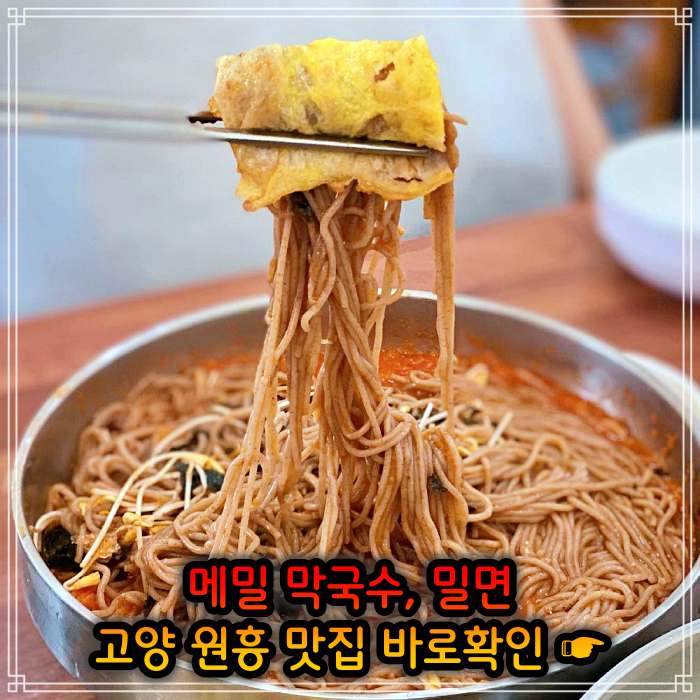 고양 삼송 원흥 맛집 메밀막국수&#44; 밀면