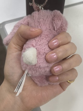 아이스탑 이미지