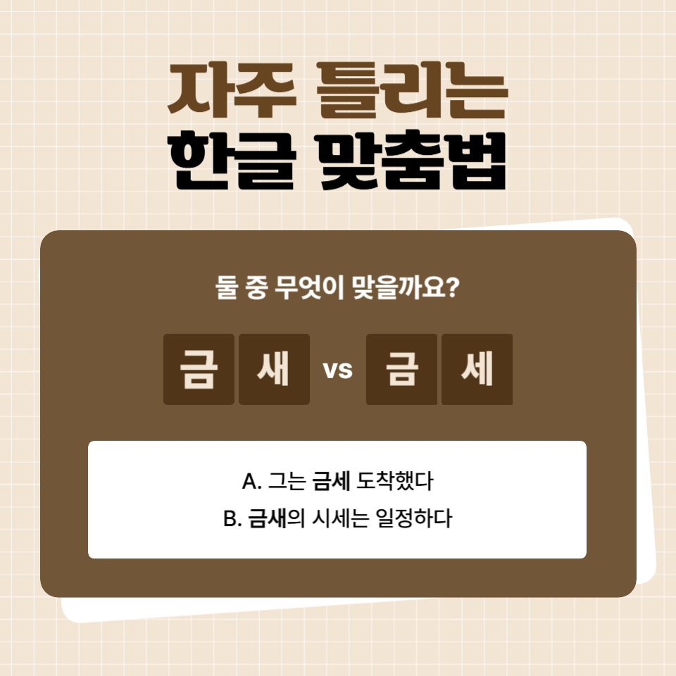 국어 시험 단골! ‘금새’와 ‘금세’ 완벽 정리