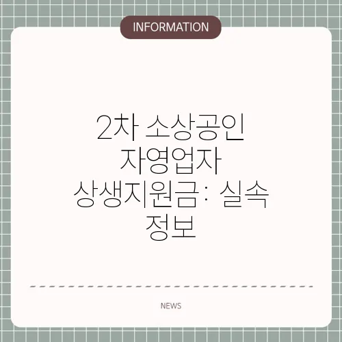 2차 소상공인 자영업자 상생지원금: 실속 정보