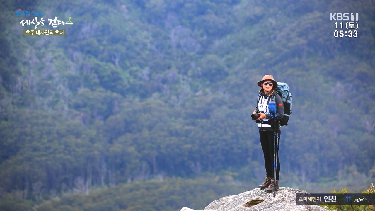 트레킹노트 세상을 걷다.E296.231112p-NEXT.mp4_20231111_182053.233.jpg