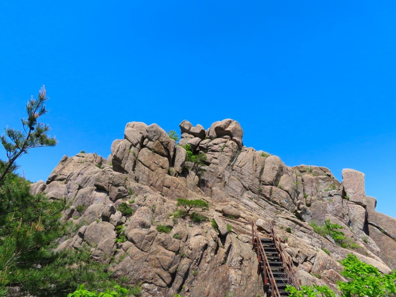 블랙야크 100+, Y출렁다리, 49