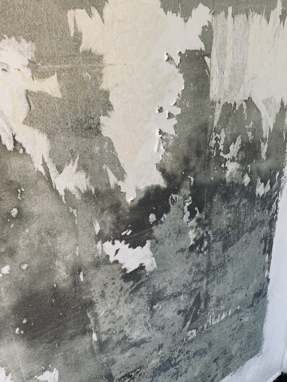 벽지곰팡이 제거 벽지곰팡이 제거