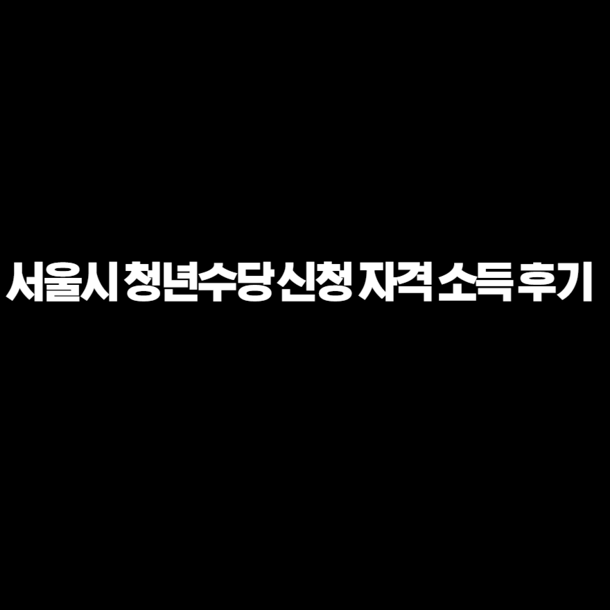 서울시 청년수당 신청 자격 소득 후기 서울시 청년수당 신청 자격 소득 후기