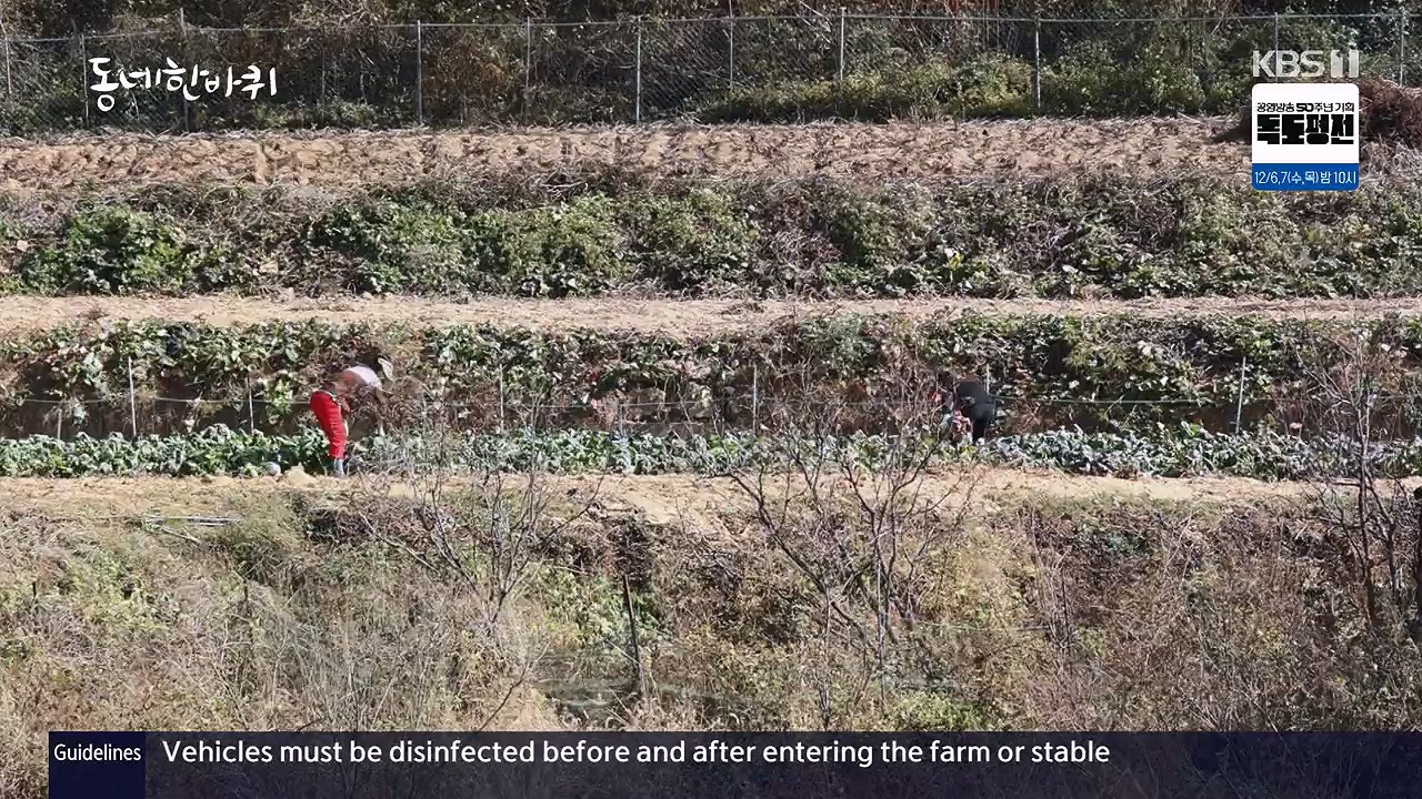 동네 한 바퀴.E249.231126p-NEXT.mp4_20231127_211753.337.jpg