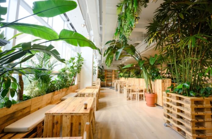식물 카페
