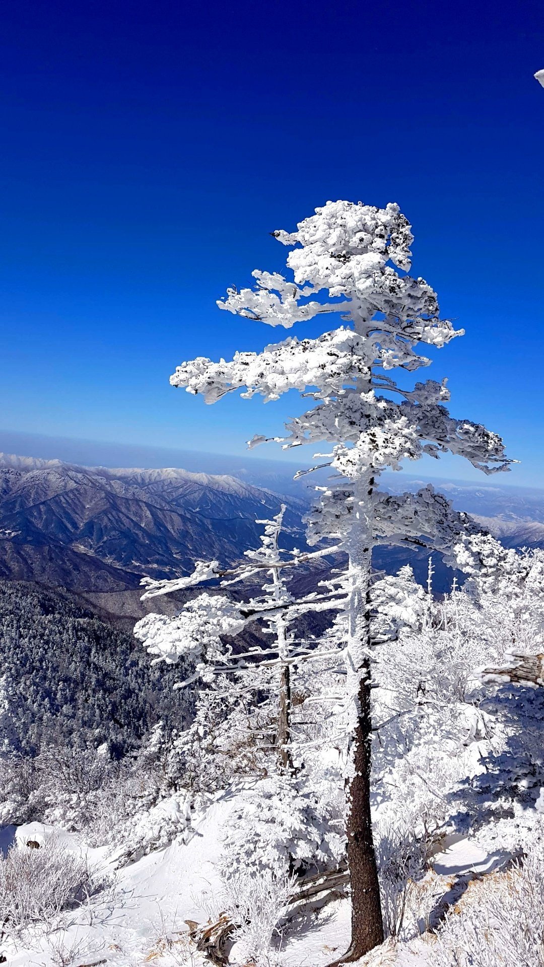 2월 지리산 눈산행1