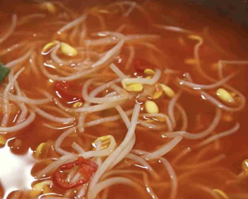 콩나물 5