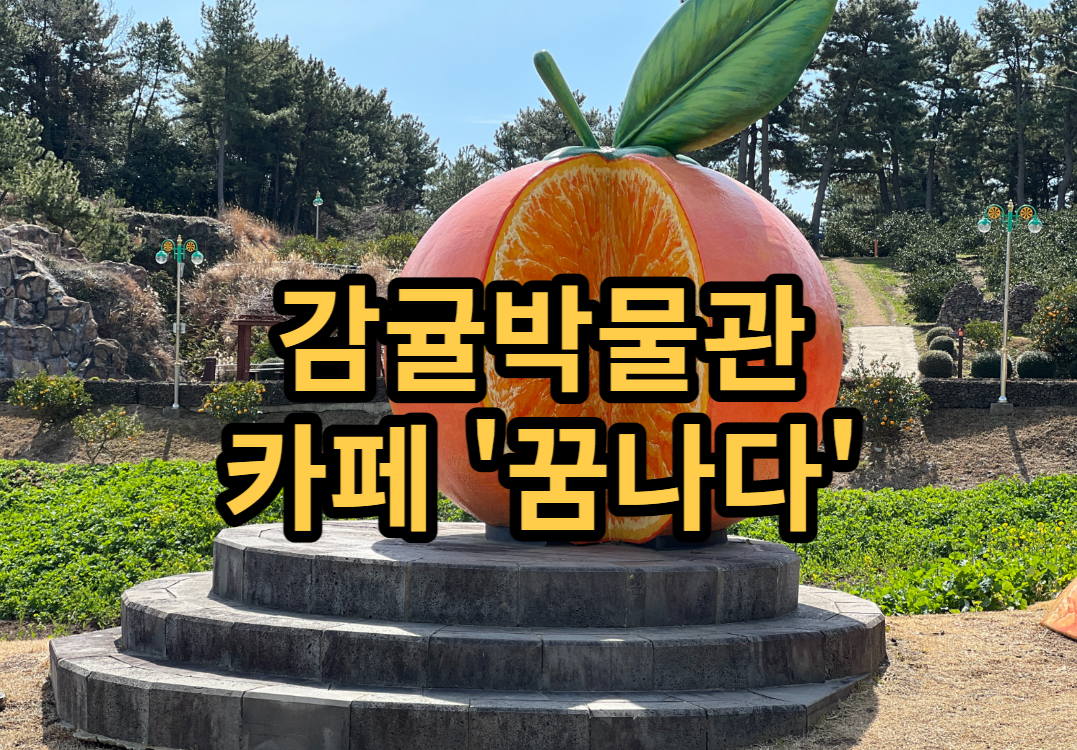  제주 한라봉스무디 맛집 서귀포 감귤박물관 카페, 카페 꿈나다