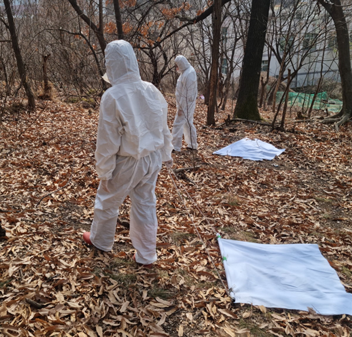 다사공원 이미지