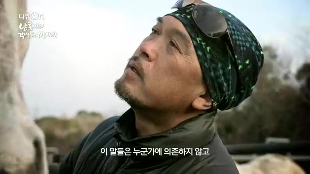 [189회] 다큐온 - KBS남훈 씨의 각별한 말 사랑] 연평균 1400여 마리의 경주마들이 경마장을 떠나 퇴역 경주마가 된다.ts_20230330_210954.867.jpg