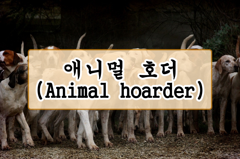  애니멀 호더(Animal hoarder)