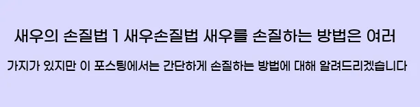  (3) 새우의 손질법 1 새우손질법 새우를 손질하는 방법은 여러 가지가 있지만 이 포스팅에서는 간단하게 손질하는 방법에 대해 알려드리겠습니다.