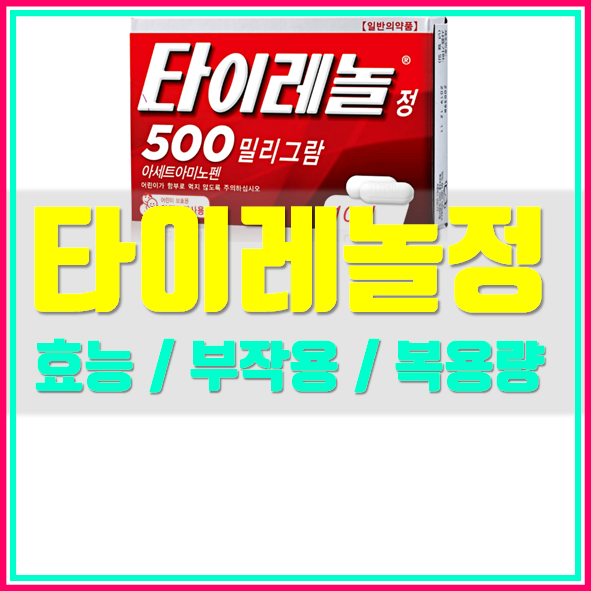  타이레놀 효능 복용량