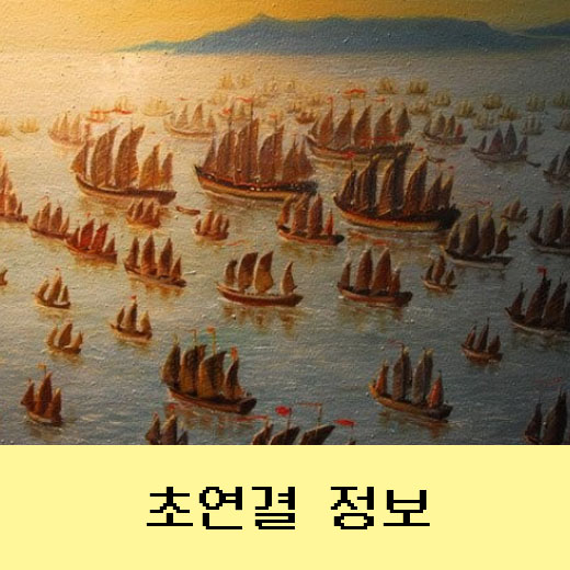  명나라 정화의 원정, 대항해시대를 열다
