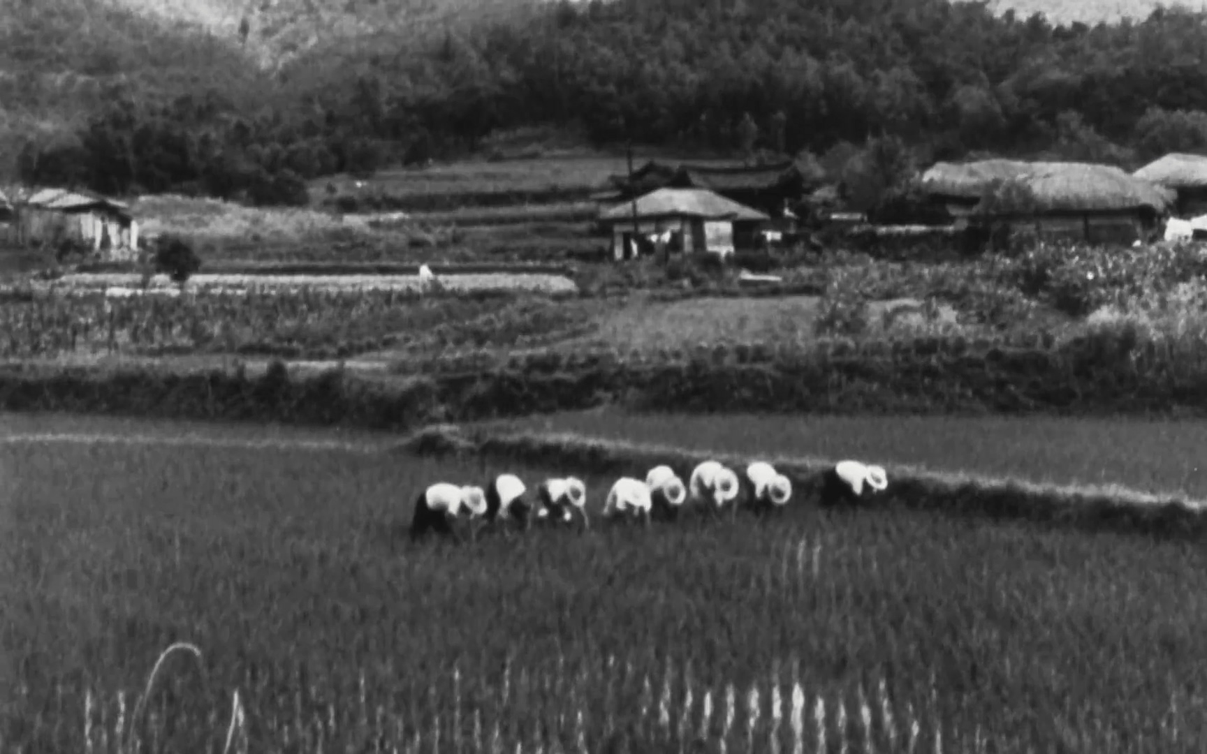 대한민국 대통령 2022p.FHDRip.H264.AAC-NonDRM.mp4_20220505_155429.319.jpg