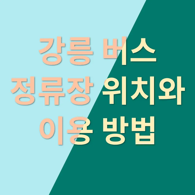 교통위반_2