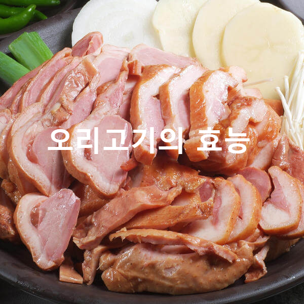 오리고기