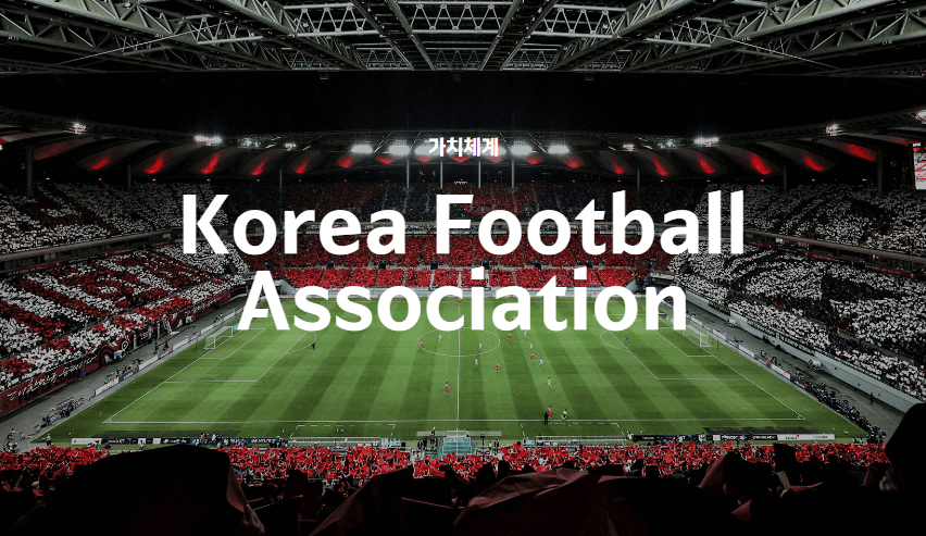 대한축구협회 협회구성과 행정난맥상