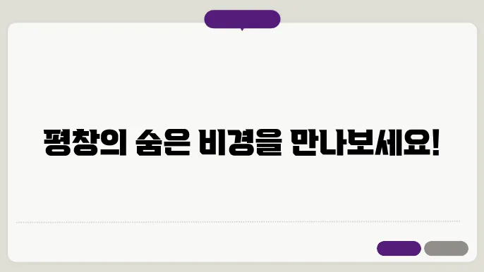 평창 전통 시장의 매력을 느낄 수 있는 기회