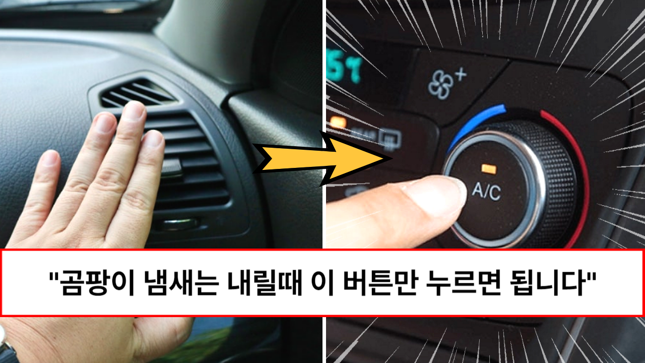 “모르고 고생하지 마세요” 여태까지 우리가 잘못 알고 있었던 자동차 에어컨 냄새 제거 방법 “모르고 고생하지 마세요” 여태까지 우리가 잘못 알고 있었던 자동차 에어컨 냄새 제거 방법