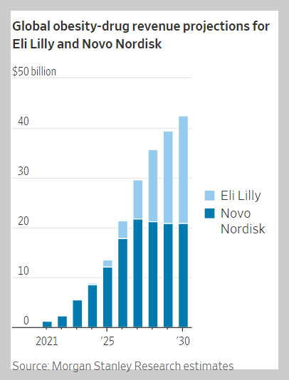 비만치료제 시장규모 예측과 노보노디스크와 일라이릴리의 매출예측