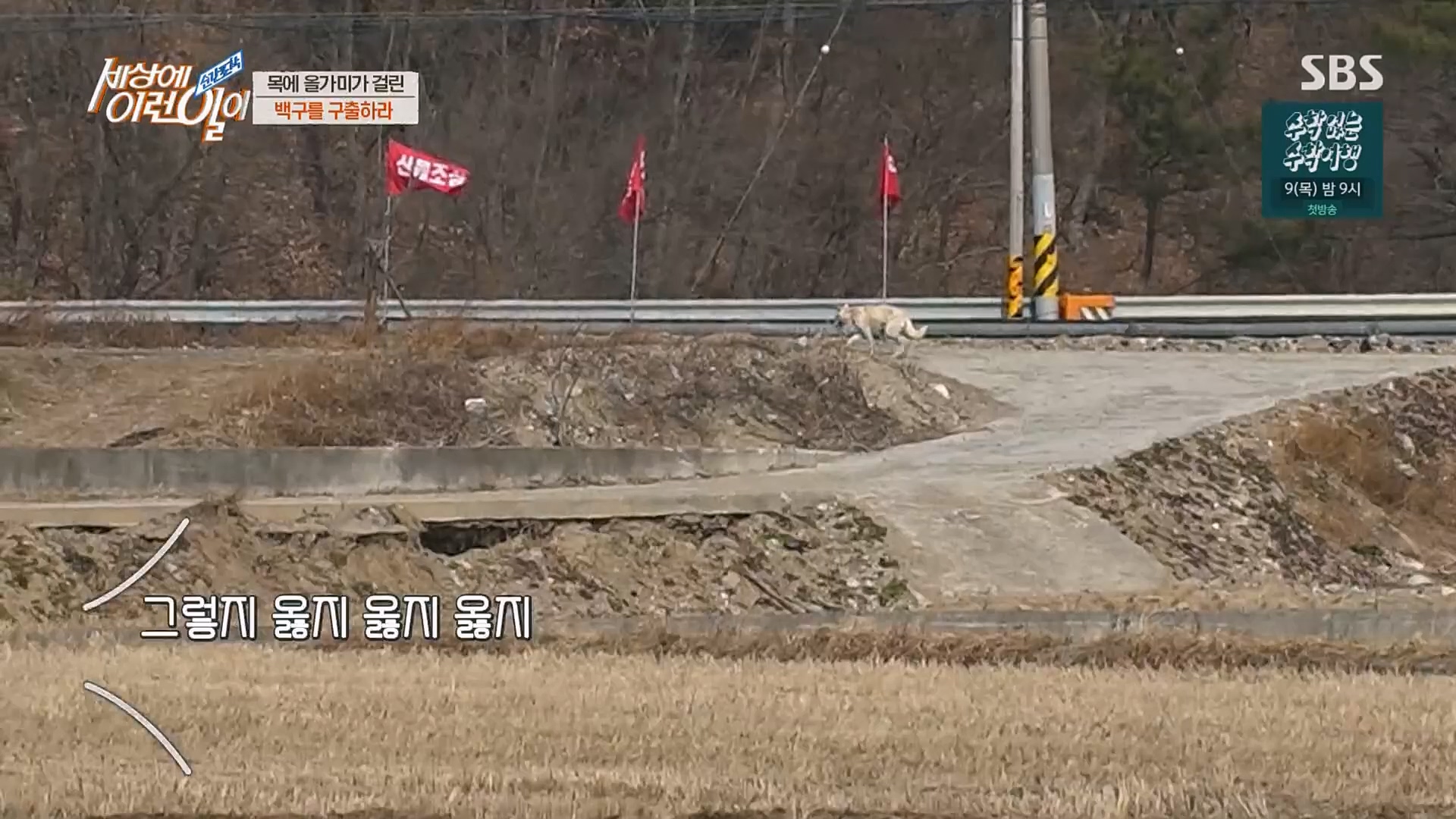 순간포착 세상에 이런일이.E1219.230228p.H264-F1RST.mp4_20230301_165036.553.jpg