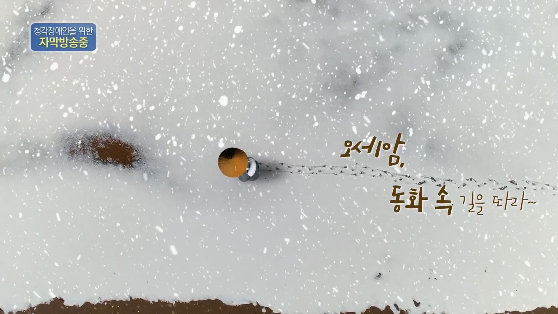 다큐 인사이트.E02.231215p.H264-F1RST.mp4_20231216_182446.962.jpg
