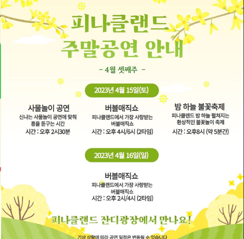 피나클랜드 튤립 수선화 축제