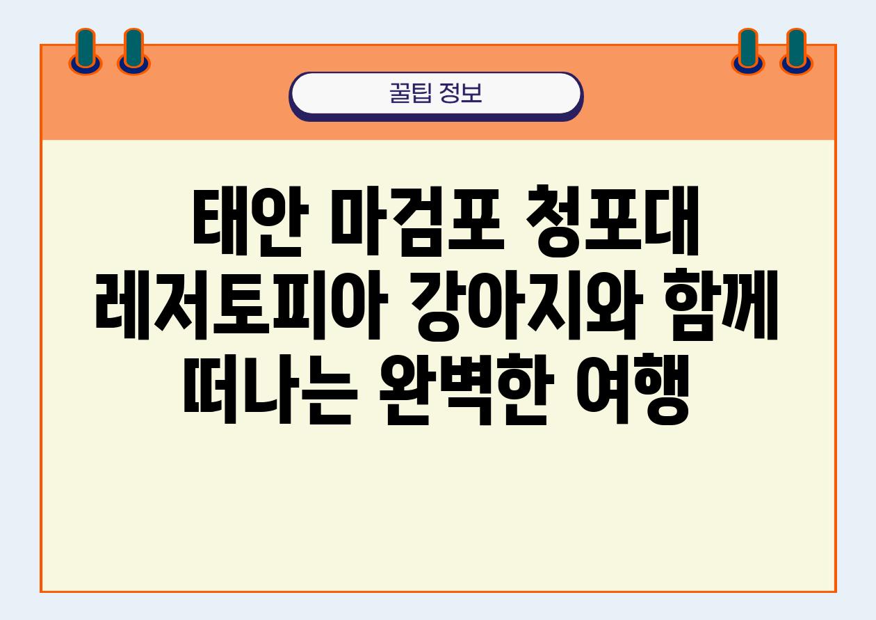  태안 마검포 청포대 레저토피아 강아지와 함께 떠나는 완벽한 여행