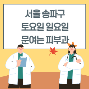 서울 송파구 토요일 일요일 피부과 진료 병원 리스트