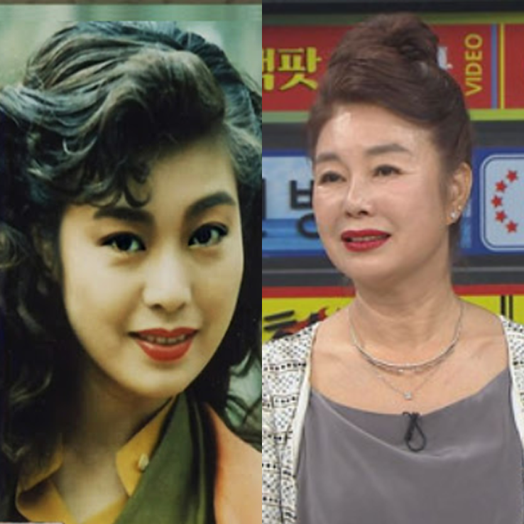  배우 김청 이혼 및 어머니 인생사