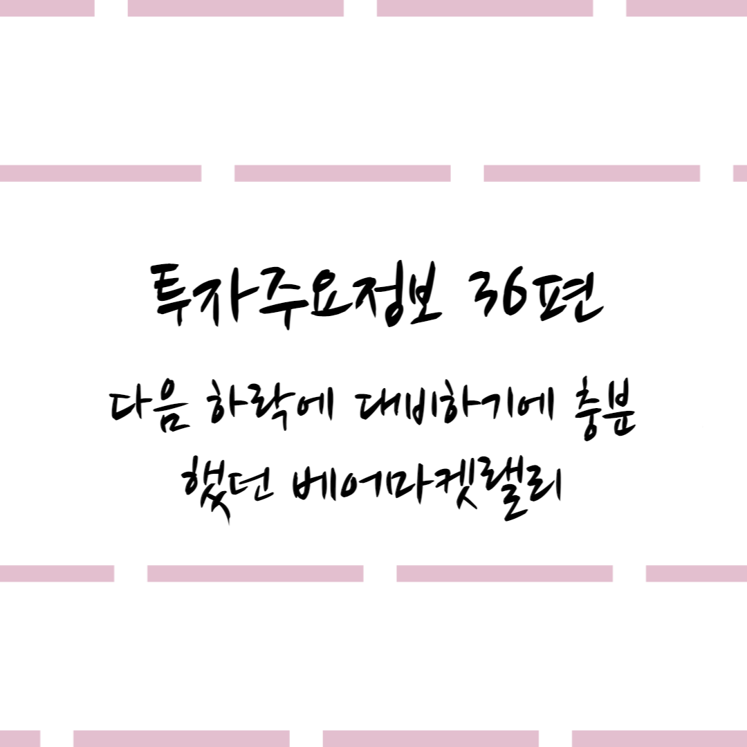  투자주요정보 36편 #다음 하락에 대비하기에 충분했던 베어마켓랠리
