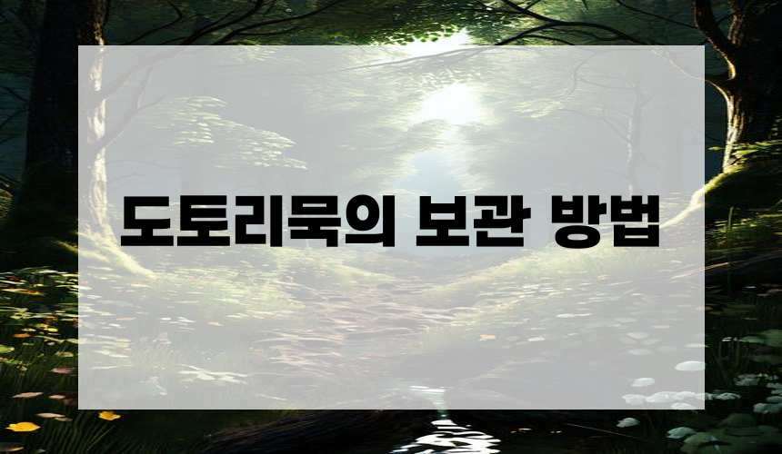 도토리묵의 보관 방법