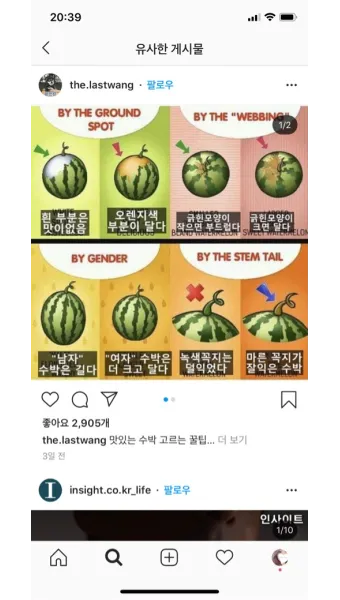 맛있는 수박 고르는법 5가지 feat 좋은 수박 암수 구별법_17