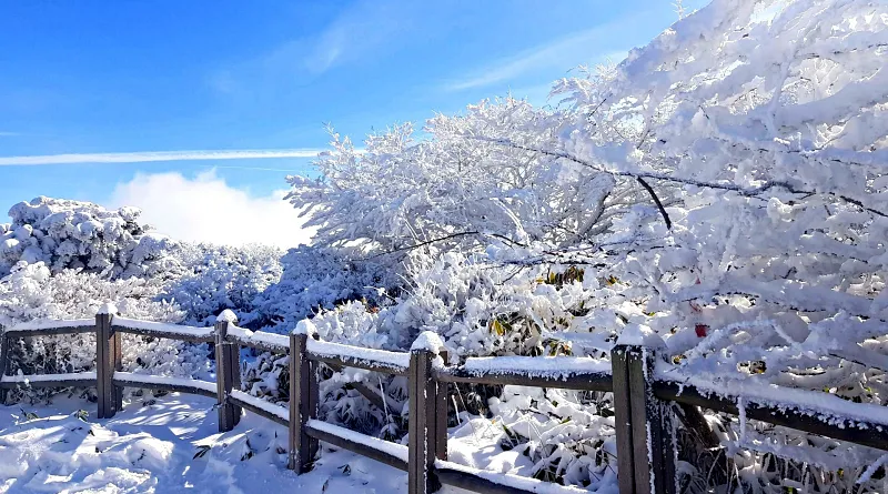 제주 한라산 설경 눈꽃