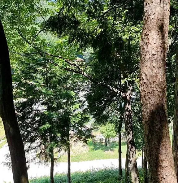 운림산림욕장