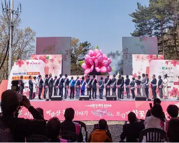 비슬산 참꽃축제_5