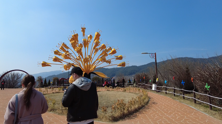 사진13