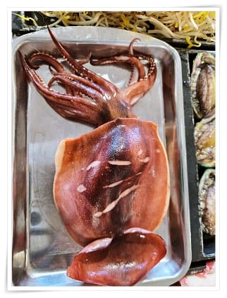 해산물삼합구이 22