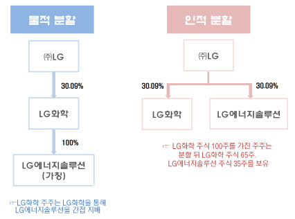 인적분할-물적분할-LG사례